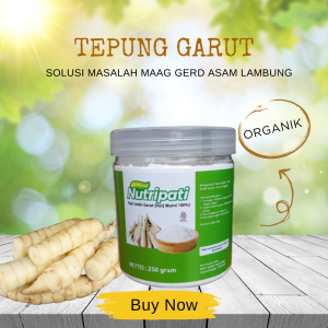 Tepung Garut Angkrik Irut Solusi Atasi Penyakit Lambung