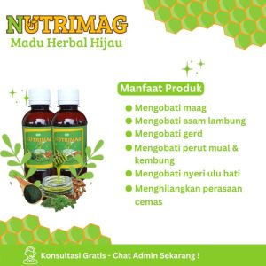 Madu Herbal Hijau Obat Asam Lambung Maag Gerd 2 Botol